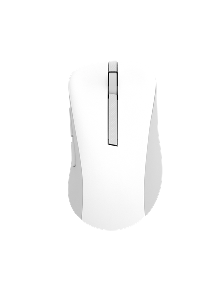 Asus Wireless Mouse | MD102 | Mouse | 2.4 GHz, Bluetooth | White