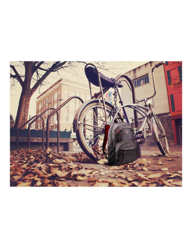 PORT DESIGNS | Houston | Fits up to size 17.3 " | Backpack | Black | Shoulder strap