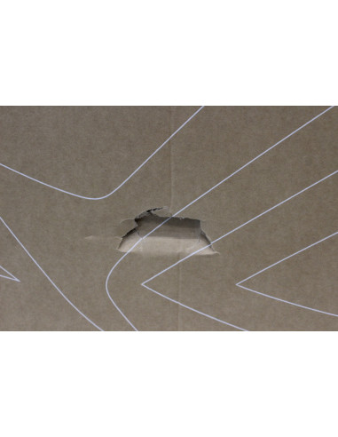 Asus ROG Strix OLED | XG27AQDMG | 27 " | WOLED | 16:9 | 240 Hz | 0.03 ms | 2560 x 1440 pixels | HDMI ports quantity 2 | Black |