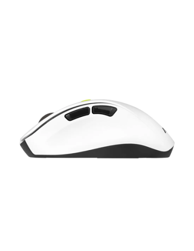 Asus Mouse | MD105 | Wireless | Bluetooth, 2.4GHz | Volt Green