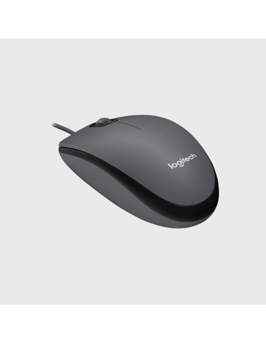 Logitech M100 black USB